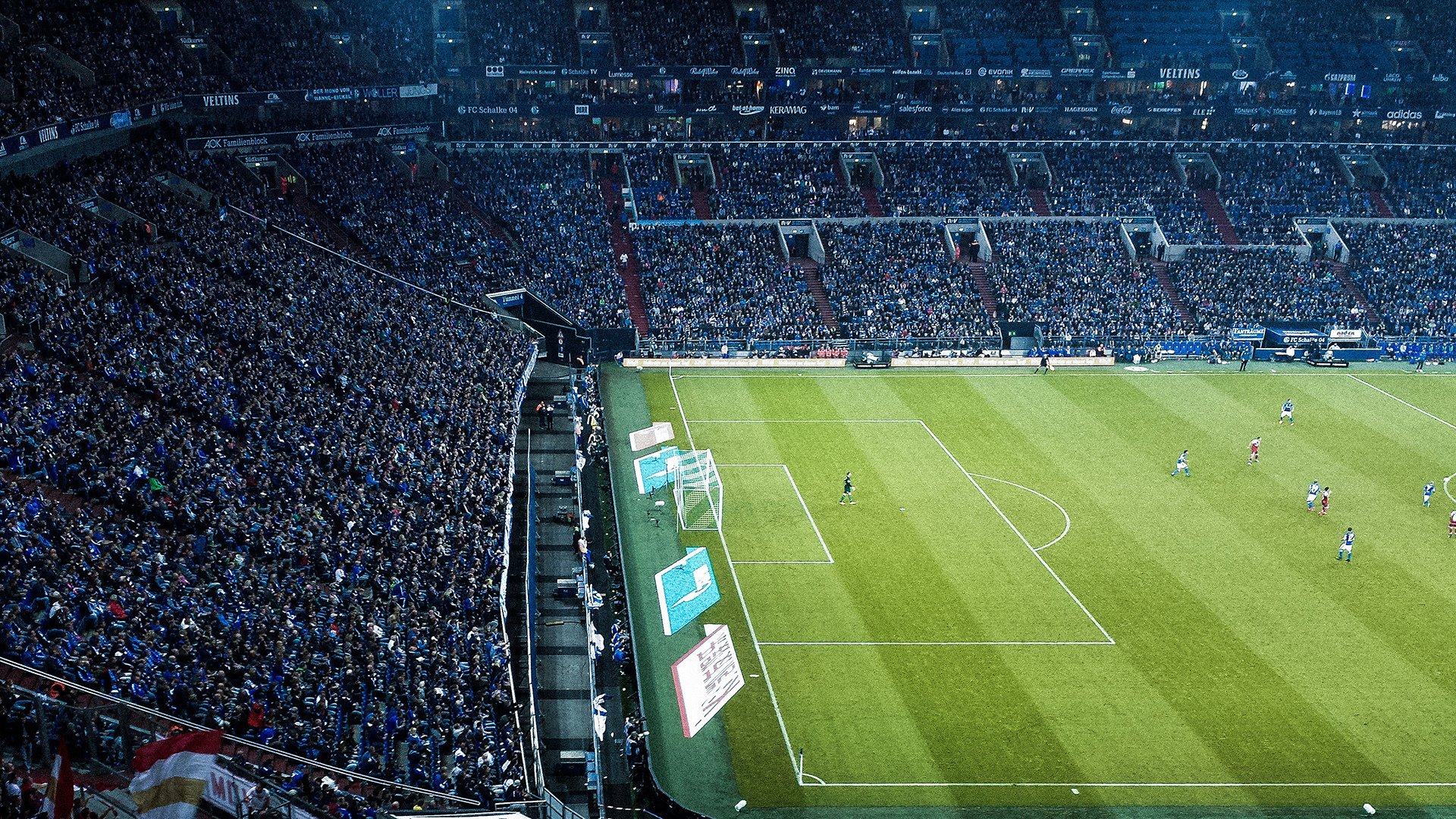 “阿根廷美洲狮队的未来:在橄榄球冠军赛中力争冠军”